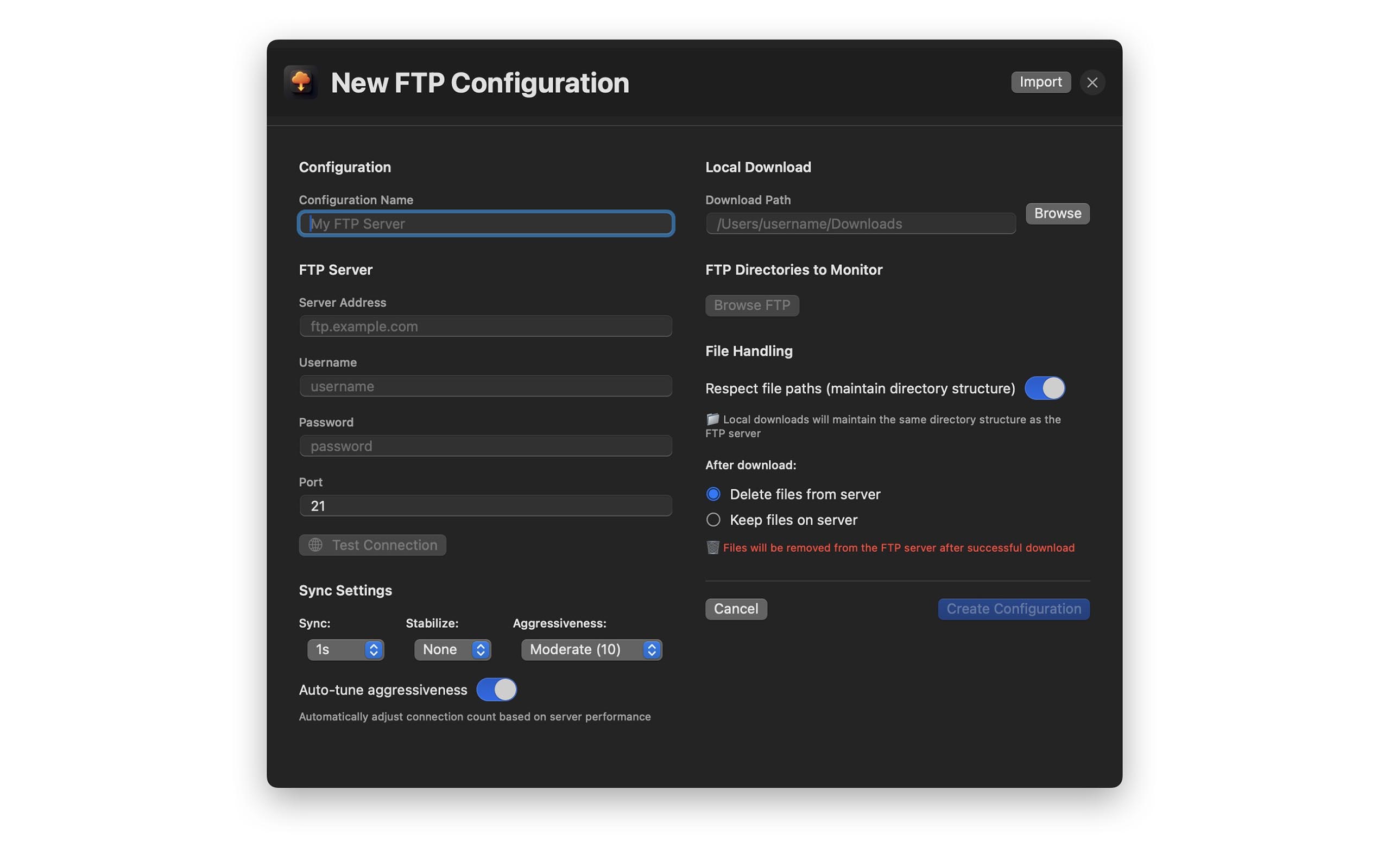 FTP Downloader Screenshot 2